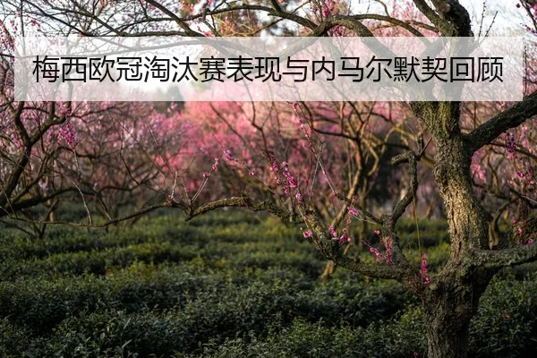 梅西欧冠淘汰赛表现与内马尔默契回顾